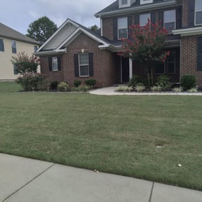 Bush Trimming by S. Hayes lawn Maintenance reviewed on August 19, 2025