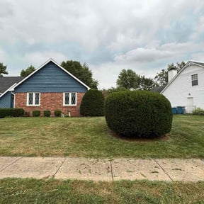 Bush Trimming by Martin Mows reviewed on October 18, 2025