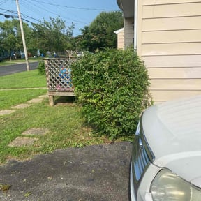 Bush Trimming by Maryhaven farm reviewed on August 21, 2025
