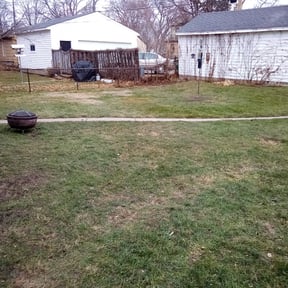 Leaf Removal by Stellar lawn and snow reviewed on September 28, 2025