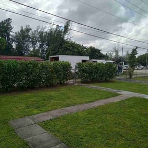 Bush Trimming by Always Green LLC reviewed on April 24, 2024