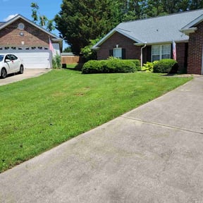 yard service by New Day Lawns reviewed on August 16, 2025