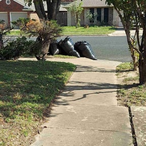 Leaf Removal by Sunny cuts reviewed on September 21, 2025