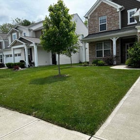 gardening service by T an C landscaping reviewed on August 20, 2025