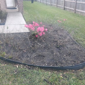 Flower Bed Weeding by MikesLawncare reviewed on August 20, 2025