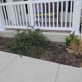 Flower Bed Weeding by Brothers lawn care reviewed on October 23, 2025