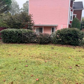 Bush Trimming by Top Notch Lawn Care&amp; MAINTENCE reviewed on December 25, 2025