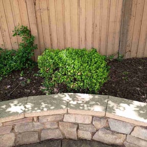 Bush Trimming by Grass Life reviewed on April 28, 2026