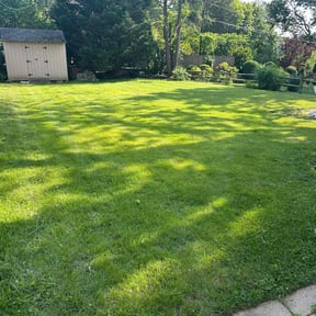 gardening service by Lucero’s Landscaping reviewed on August 20, 2025