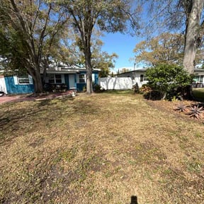 Leaf Removal by Otero's lawnmower reviewed on June 16, 2026