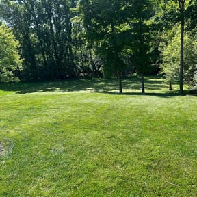 landscaping by Griner services reviewed on August 13, 2024