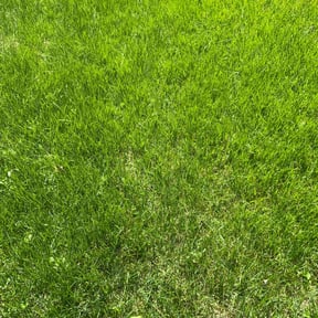 lawn care services by M&C Landscaping reviewed on June 1, 2025
