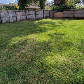 Leaf Removal by JOE&amp;jojo lawn service reviewed on September 7, 2025