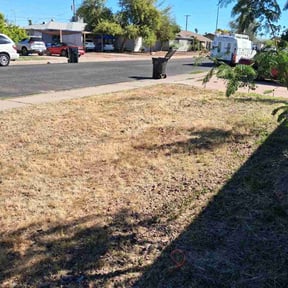 Bush Trimming by Bennett Lawn Care reviewed on March 31, 2026