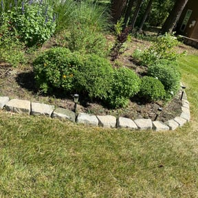 Flower Bed Weeding by Mr. Mows It All reviewed on August 20, 2025