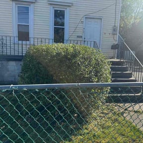 Bush Trimming by Platinum Landscape reviewed on February 5, 2026