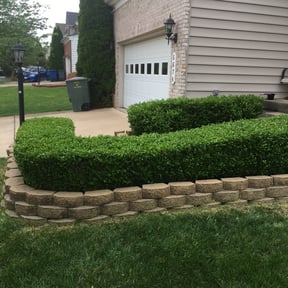 Bush Trimming by The Crew Lawn Care reviewed on August 20, 2025