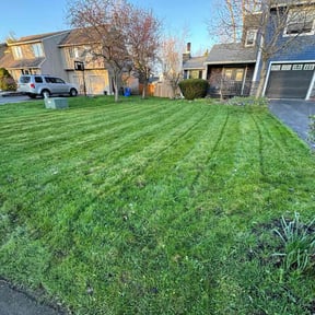 lawn care services by Cohen Lawn & Landscaping reviewed on April 21, 2024