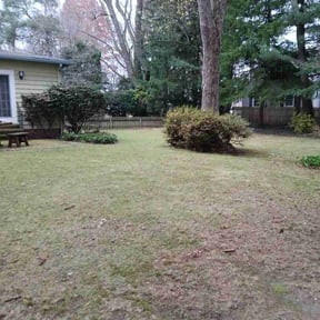 Leaf Removal by Over The Hedge Landscaping reviewed on September 7, 2025