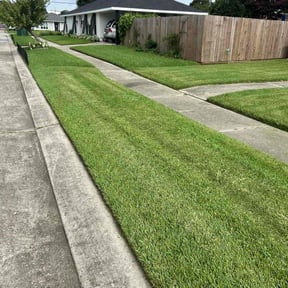 residential landscaping by Michael Cherry reviewed on August 20, 2025