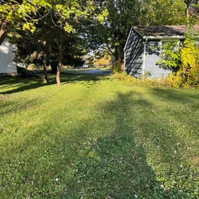 grass cutting by Shaggy cuts,INC reviewed on April 16, 2024