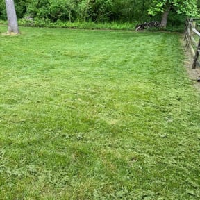 turf maintenance by APHS Incorporated reviewed on May 11, 2024