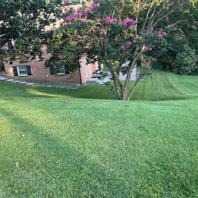 yard service by Watkins Yard Maintenance reviewed on August 20, 2025