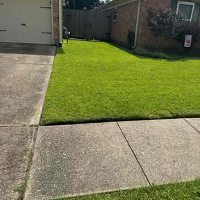 landscape maintenance by Felo pride lawn service reviewed on August 17, 2025