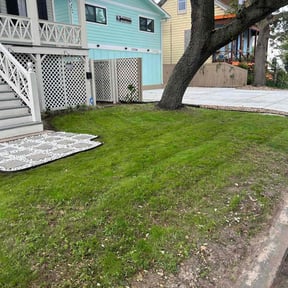grass cutting by Stephen Reynolds reviewed on May 9, 2024