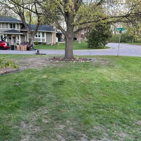 Leaf Removal by Crawford Outdoor Services LLC reviewed on May 29, 2026