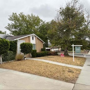 Leaf Removal by Supermen Lawncare reviewed on September 10, 2025