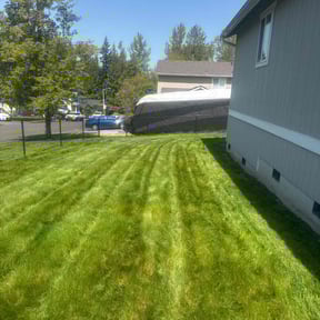 turf maintenance by Self-Develope Services reviewed on August 10, 2023