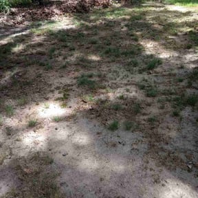 Leaf Removal by Creating a better Landscaping reviewed on September 7, 2025