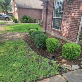 Bush Trimming by Ledezma reviewed on August 19, 2025