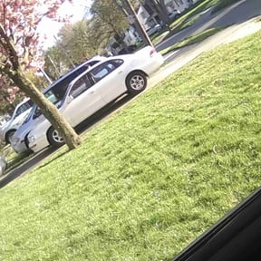 lawn care by Laggers Lawns reviewed on June 28, 2025