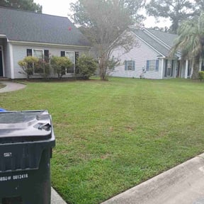 lawn service by 3DM reviewed on March 18, 2024