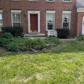 Bush Trimming by VACAS LAWNCARE LLC reviewed on June 23, 2026