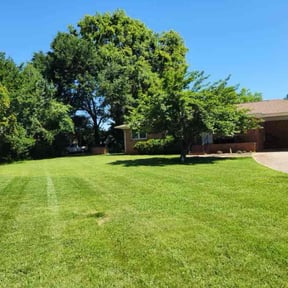 yard work by Bandala's Landscaping and Gardening Service reviewed on August 21, 2025