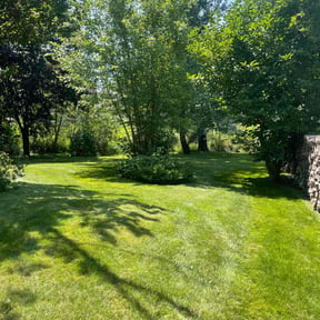 turf maintenance by S &amp; G Landscaping, Inc. reviewed on July 25, 2025