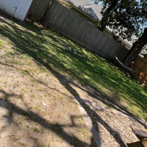 Leaf Removal by B's lawn care reviewed on August 17, 2025