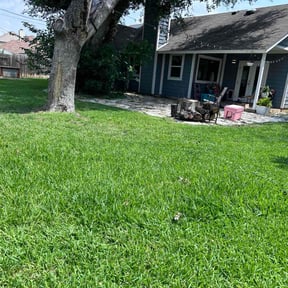 turf maintenance by Mikes Landscaping reviewed on April 16, 2024
