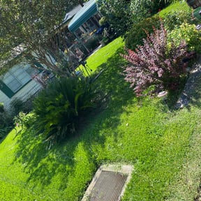 turf maintenance by Patriot Blades Lawn Co. reviewed on July 28, 2025