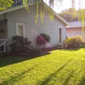 Bush Trimming by Lawnmower reviewed on August 19, 2025