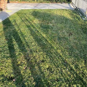 lawn care services by The Green Guys reviewed on May 22, 2025