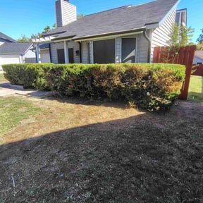 Bush Trimming by Lawn care reviewed on November 18, 2025