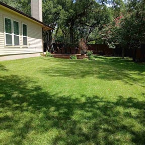 yard service by G E D Services LLC reviewed on August 17, 2025