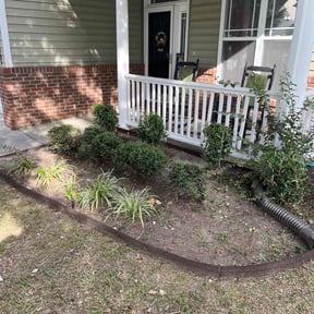 Bush Trimming by Brevard Grass Choppers reviewed on November 4, 2025