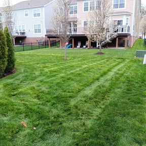 grass maintenance by Grasman LLC reviewed on December 1, 2023