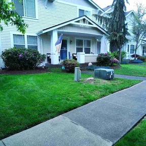 gardening service by Vertical Lawn Care reviewed on August 16, 2025