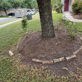 Leaf Removal by Not on my watch 2.0 reviewed on September 21, 2025